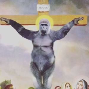 Meet your Posher, Cheyenne